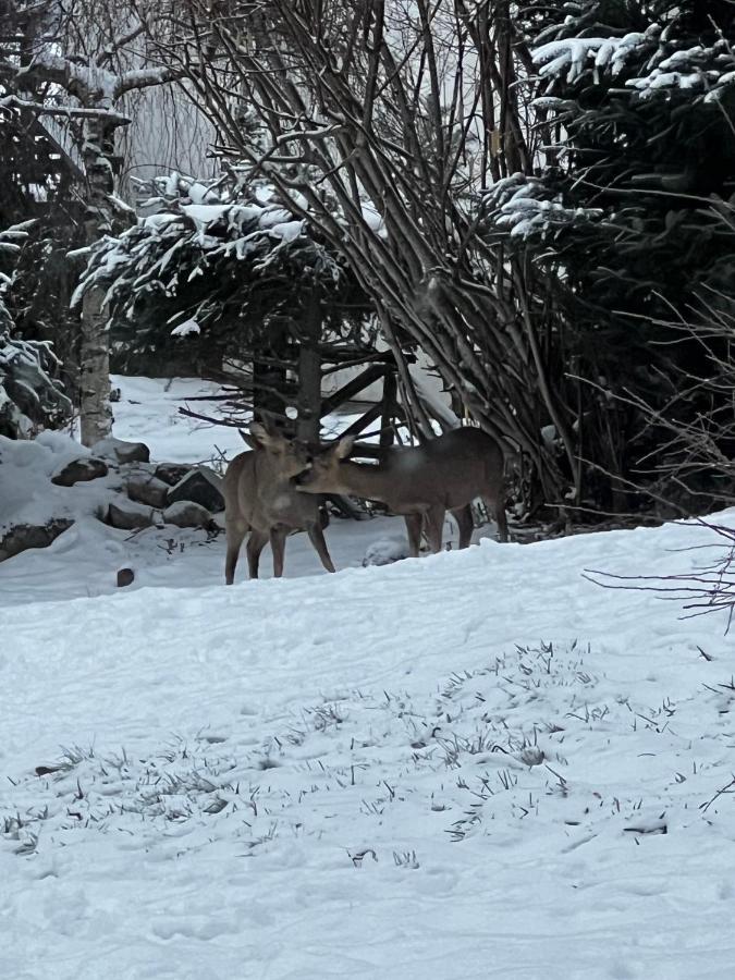 Le Chalet De Juliette Gérardmer Eksteriør bilde