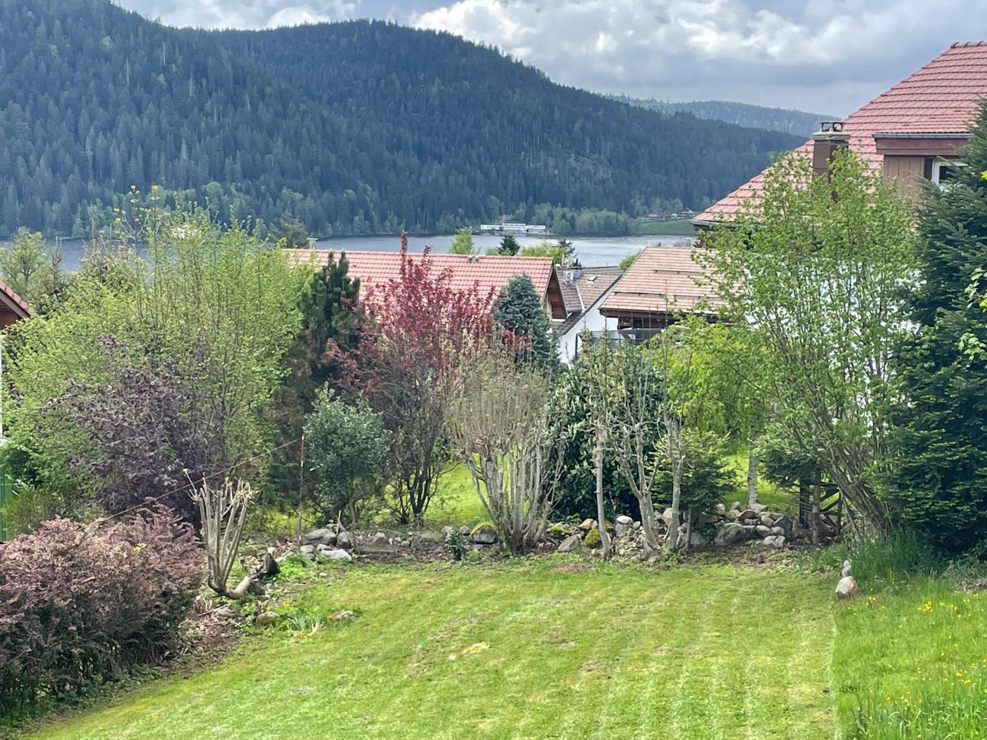 Le Chalet De Juliette Gérardmer Eksteriør bilde